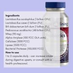 Silver Lining Prebiotics & Probiotics for Women & Men + Digestive Enzymes, Digestion Supplement for Gut Health, Prebiotic and Probiotic in One for Immune Support, 360 Capsules, Pack of 3 - Image 3