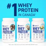 LEANFIT WHEY PROTEIN Cookies & Cream – 100% Whey Protein Powder, 25g Protein Per Serving – Grass-Fed, Gluten-Free, BCAAs, Amino Acid - 26 Servings, 851g Tub - Image 4