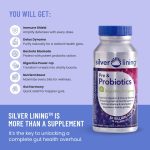 Silver Lining Prebiotics & Probiotics for Women & Men + Digestive Enzymes, Digestion Supplement for Gut Health, Prebiotic and Probiotic in One for Immune Support, 360 Capsules, Pack of 3 - Image 4