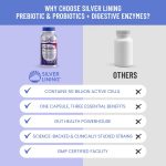 Silver Lining Prebiotics & Probiotics for Women & Men + Digestive Enzymes, Digestion Supplement for Gut Health, Prebiotic and Probiotic in One for Immune Support, 360 Capsules, Pack of 3 - Image 6