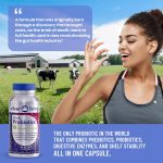 Silver Lining Prebiotics & Probiotics for Women & Men + Digestive Enzymes, Digestion Supplement for Gut Health, Prebiotic and Probiotic in One for Immune Support, 360 Capsules, Pack of 3 - Image 7