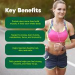 Organika Organic Plant Protein Powder Chocolate with Prebiotics & Probiotics – 22g Vegan Protein, 4g Fibre, Supports Digestion, Gut Health, Energy & Muscle Recovery – Low Sugar, Non-GMO – 780g - Image 4