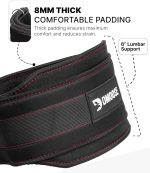 DMoose Fitness Dip Belt for Weight Lifting, Squats & Weighted Dips - 36" Steel Chain & Comfortable Neoprene Padding Supports 350lbs, Gym Weight Belt for Pull Ups for Strength Training Workout - Image 4