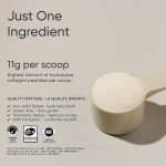 Sports Research Collagen Peptides - Hydrolyzed Type 1 & 3 Collagen Powder Protein Supplement for Essential Amino Acids - Easy Mixing Vital Nutrients & Proteins, Collagen for Women & Men - Image 3