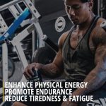 Batch 27 Pre Workout Powder - Nitric Oxide Booster & Preworkout for Men and Women w/Citrulline, Beta Alanine, Caffeine for Enhanced Energy, Endurance, & Reduced Fatigue - 40 Servings (Pineapple Mango) - Image 6