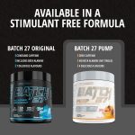 Batch 27 Pre Workout Powder - Nitric Oxide Booster & Preworkout for Men and Women w/Citrulline, Beta Alanine, Caffeine for Enhanced Energy, Endurance, & Reduced Fatigue - 40 Servings (Pineapple Mango) - Image 8