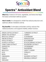 Iron Brothers Multivitamin Mineral for Women & Men | 30+ Nutrients w/Antioxidant Blend & High Absorption | Daily Multi Vitamin & Mineral Supplement for Energy & Metabolism Support - 120 Vegan Caps - Image 11